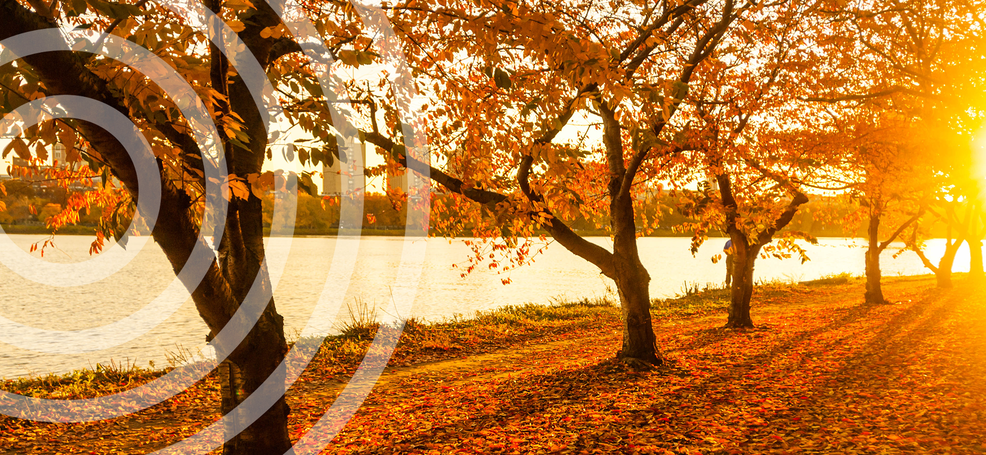 Quiz: What is Your Perfect Boston Fall Day?