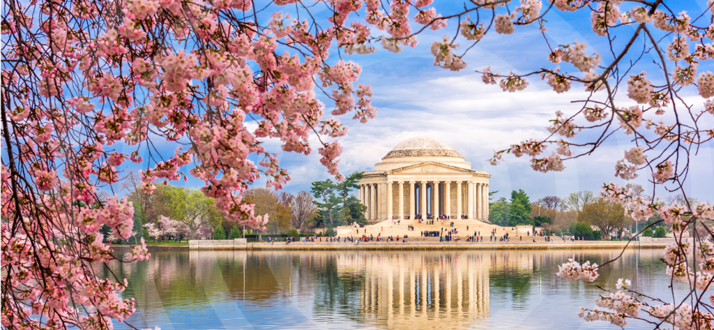 National Cherry Blossom Festival 2023 in Washington, D.C. - Dates