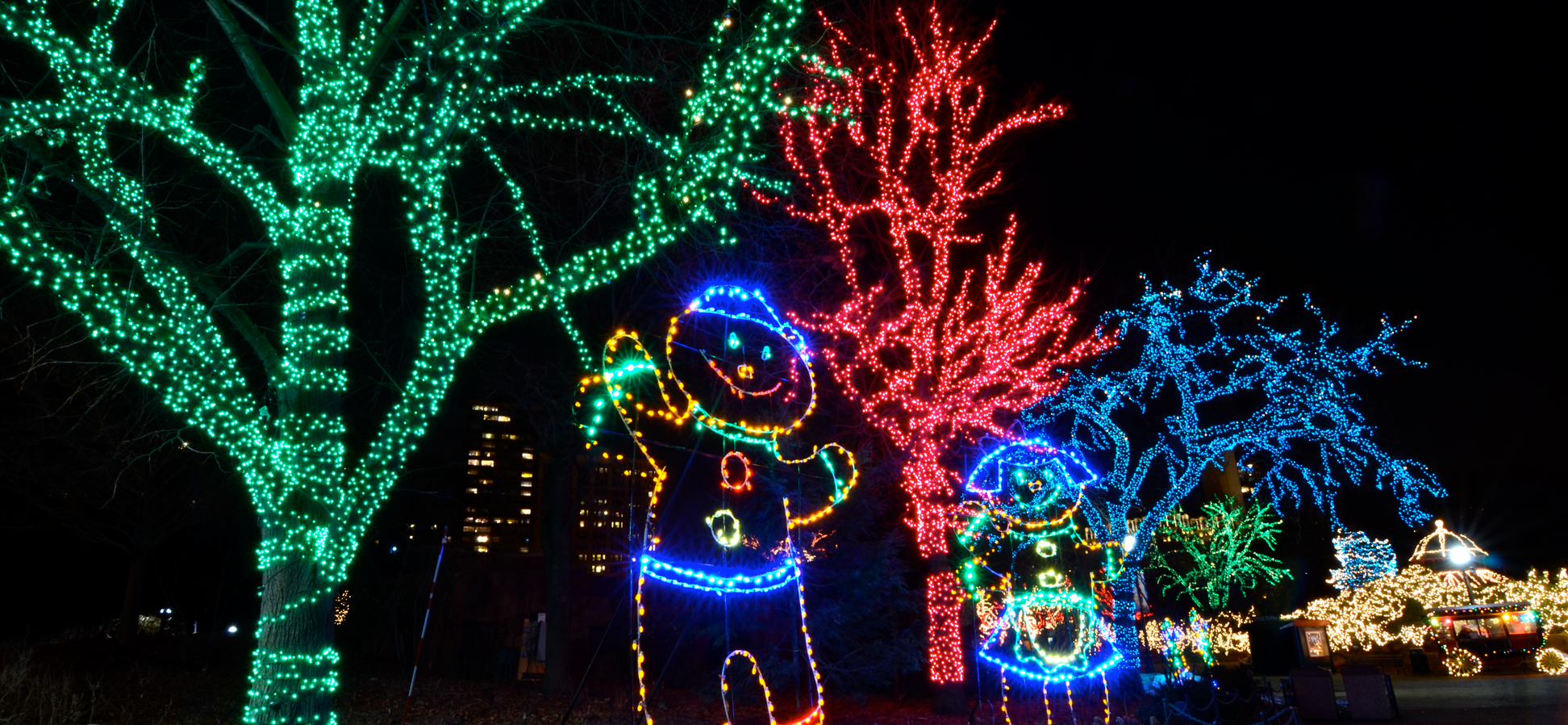 Lincoln Park ZooLights Parking Guide