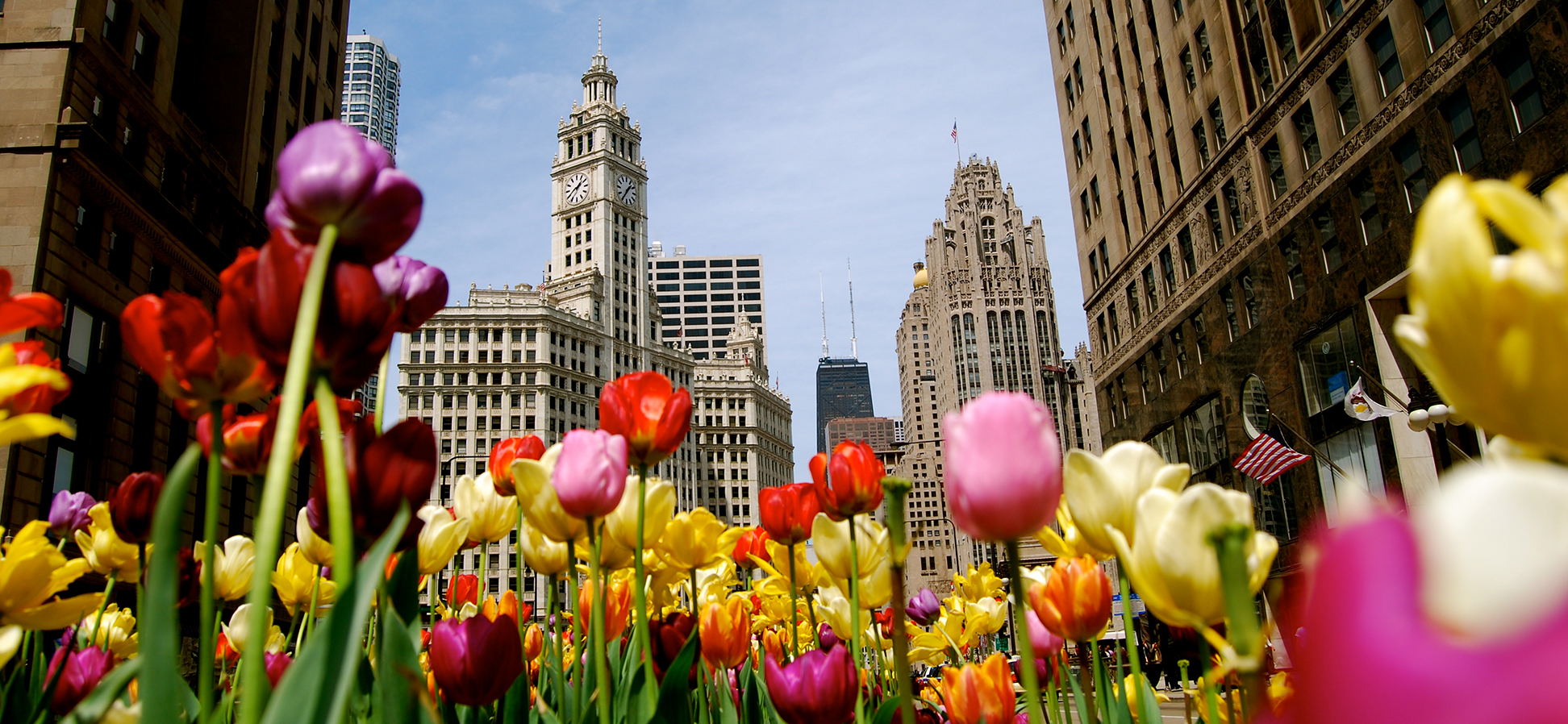 SpotHero Spring Picks: 10 Things to Do in Chicago This Spring