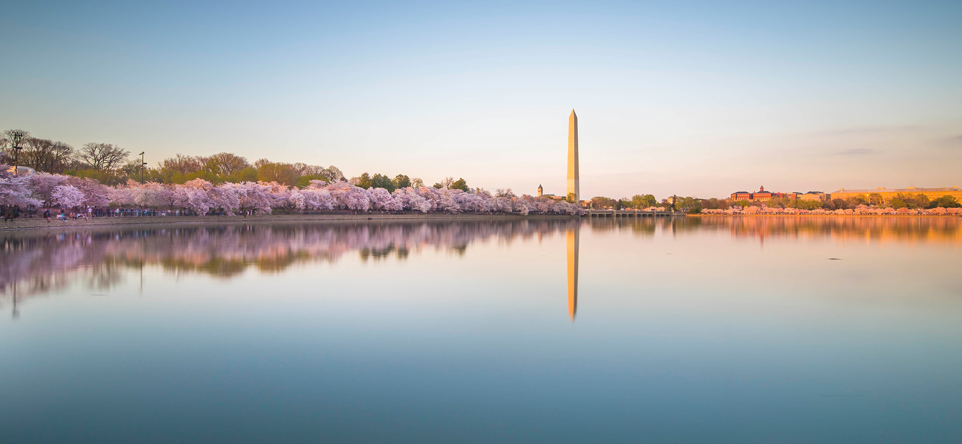 SpotHero Spring Picks: Our Top 9 Things to Do in DC This Spring