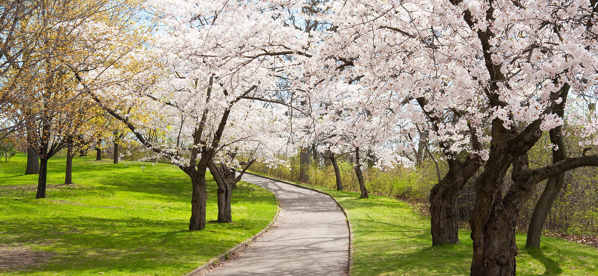 SpotHero Spring Picks Our Top 6 Things to do in Toronto this Spring