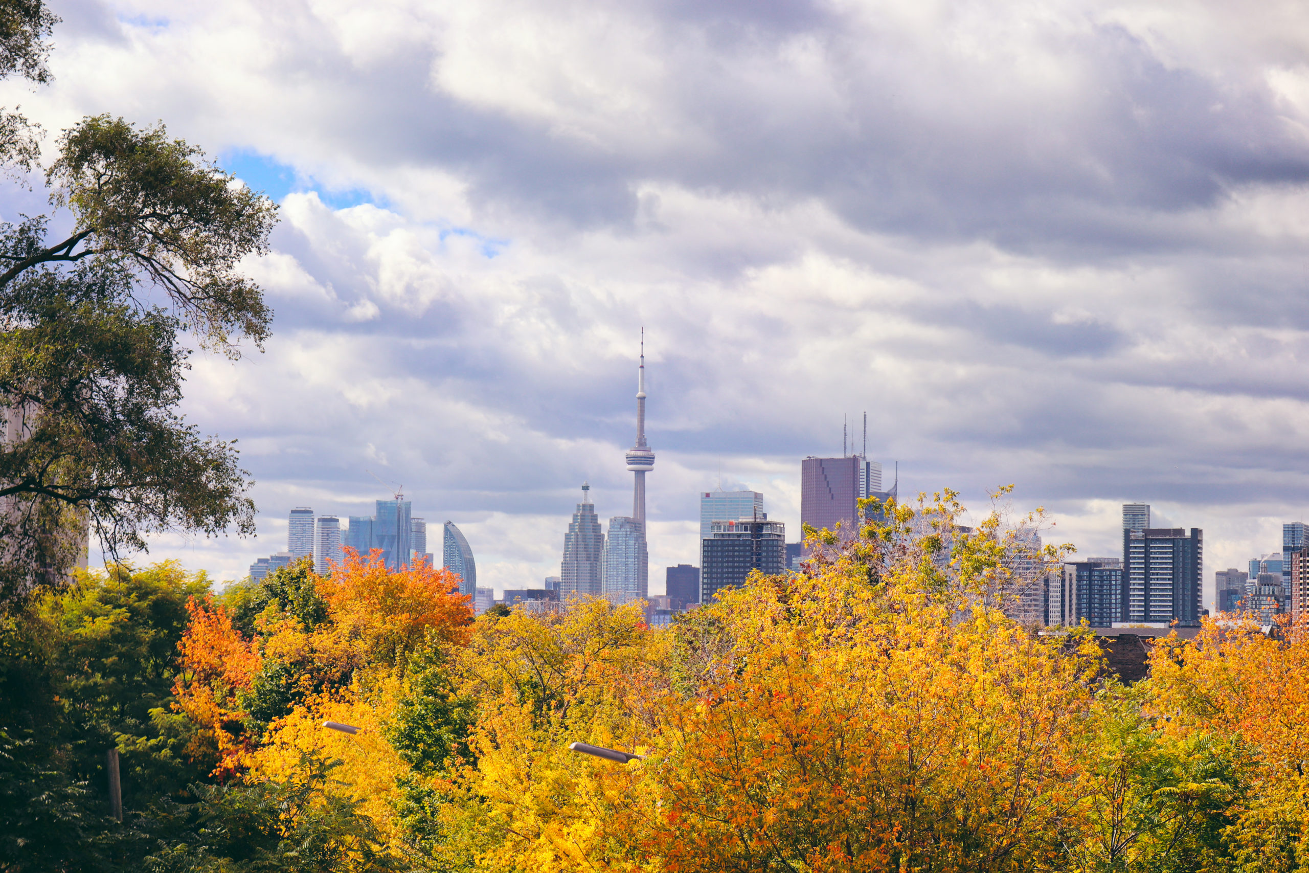 SpotHero Fall Picks: Our Top 7 Things to do in Toronto This Fall ...