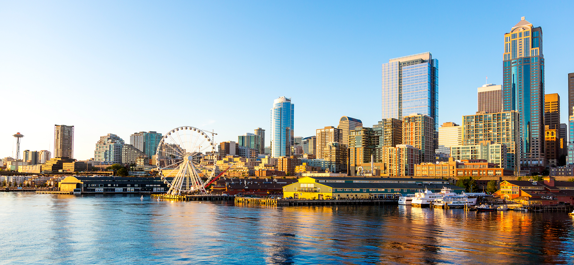 landscape view of seattle in the summer